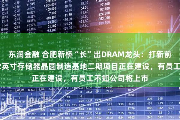 东润金融 合肥新桥“长”出DRAM龙头：打新前夜，长鑫科技12英寸存储器晶圆制造基地二期项目正在建设，有员工不知公司将上市